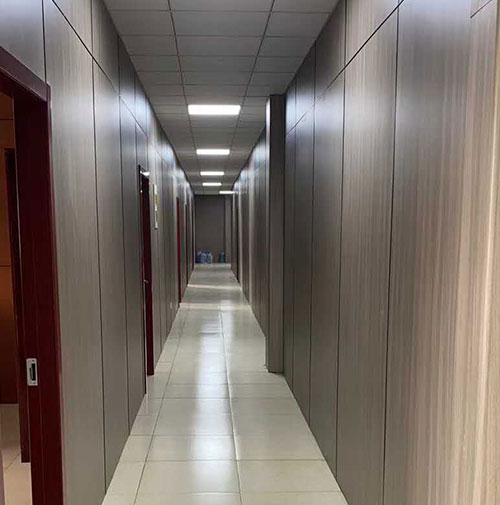 Hongze -tó orvosi és ápolási integrációs projekt